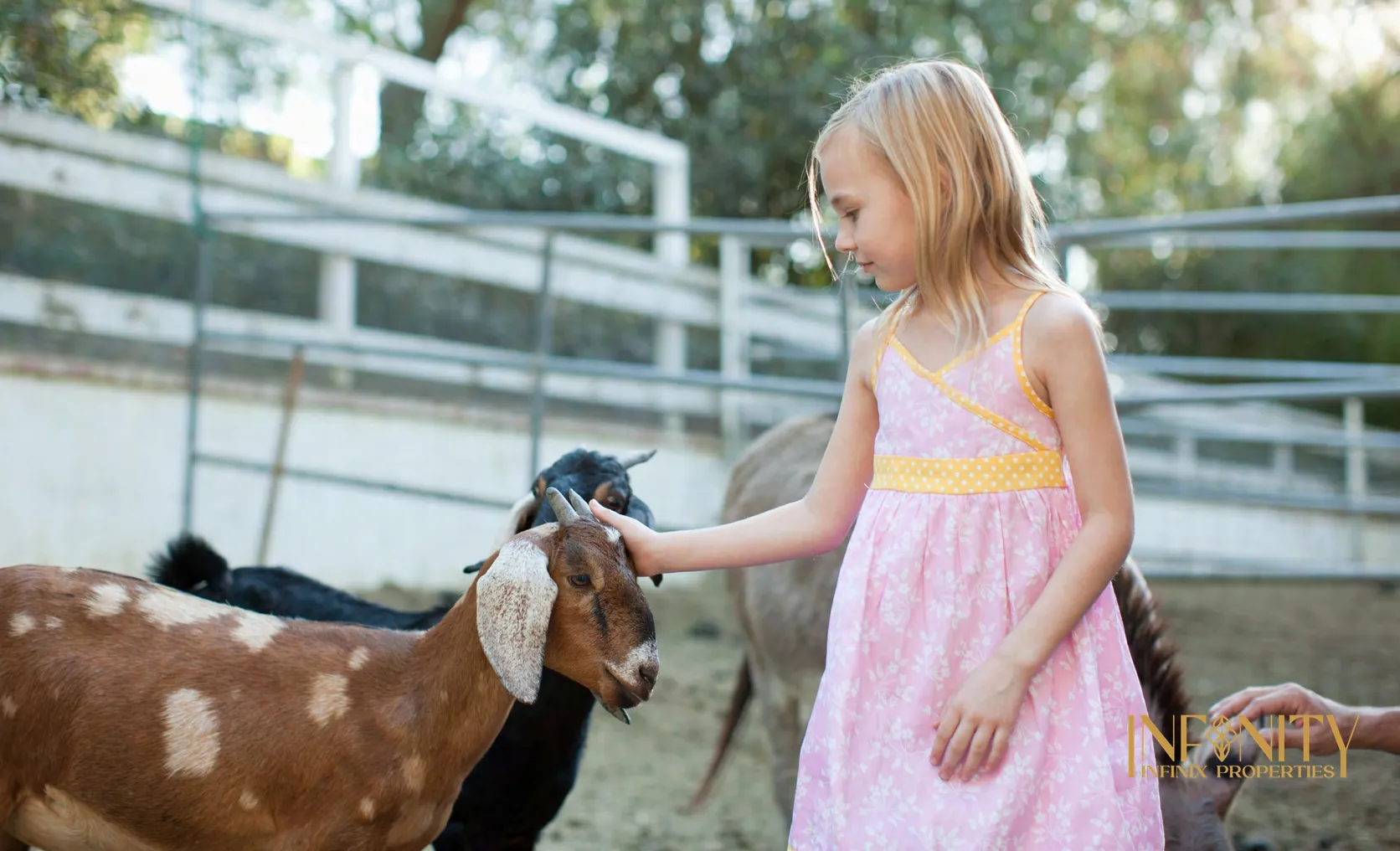 Golf%20Gate%202%20at%20Damac%20Hills%20By%20Damac%20Properties - 3